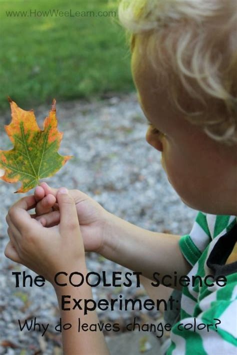 20 Must Try Fall Science Experiments For Kids Fall Science Activities Preschoolers - Fall Science Activities Preschoolers