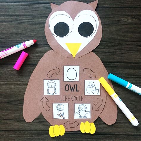 20 Owl Activities For A Hoot Of A Owl Math - Owl Math