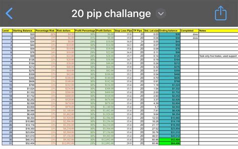 20 Pip Challenge