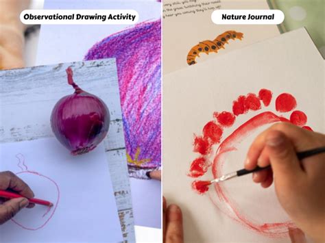 20 Powerful Observation Activity Ideas For Children Science Observation Activities - Science Observation Activities