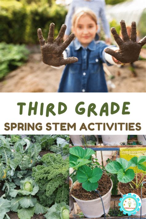 20 Spring Stem Activities For 3rd Grade To Stem 3rd Grade - Stem 3rd Grade