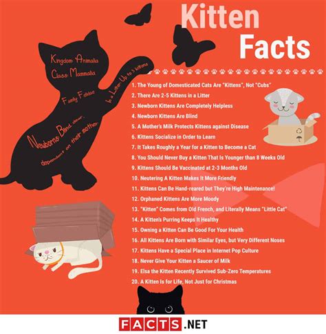 20 Surprising Facts About Cats And Dogs Msn Science Of Cats - Science Of Cats