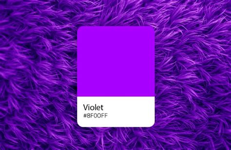 20 Variasi Warna Violet Beserta Color Code Pinhome Warna Violet Muda - Warna Violet Muda