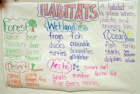 20 Wild Ways To Explore Animal Habitats With Habitat Kindergarten - Habitat Kindergarten