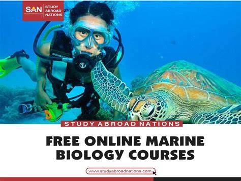 200+ Marine Biology Online Courses for 2026 - Class … - raincitystudios.com