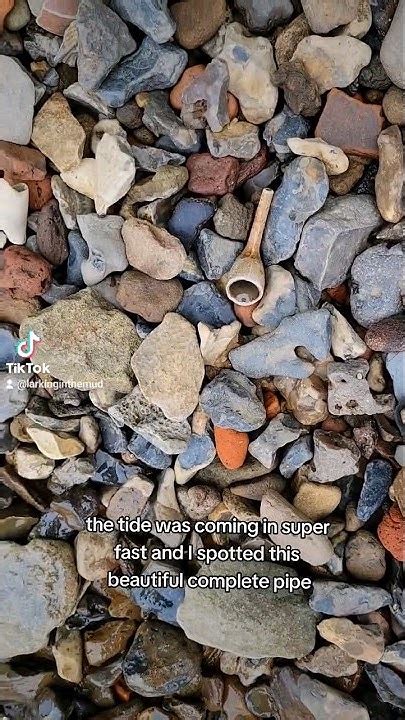 200 Year Old Clay Pipe - Mudlarking on the Thames - wintechmobiles.com