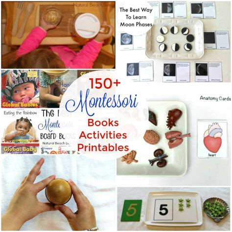 200 Amazing Montessori Activities And Free Printables Montessori Science Activities - Montessori Science Activities