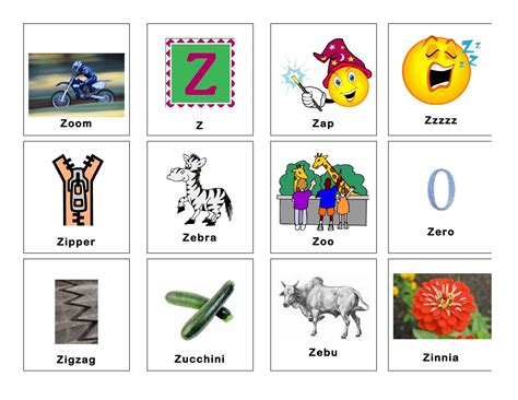 200 Objects That Start With Z To Teach Items That Start With Z - Items That Start With Z
