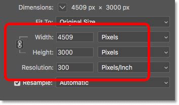 200 Pixels Width And Height