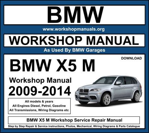 2001 bmw x5 service repair manual software. - Nelson bc science probe 5 risposte.