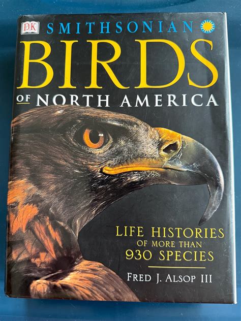 2001 Dk Birds
