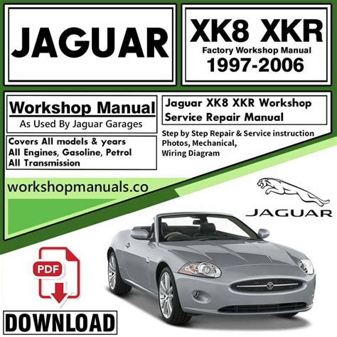 2001 jaguar xkr convertible owners manual. - Wyda-die kraft der druiden : ein ganzheitlicher weg zu gesundheir und spiritualitat.