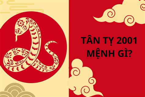 2001 tuổi gì | Nam N tui Tn T 2001 mnh