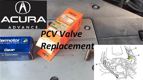 2002 acura tl pcv valve manual. - 2012 yamaha f4 hp outboard service repair manual.