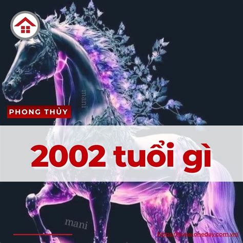 2002 tuổi gì | Nam N tui Nhm Ng 2002 mnh
