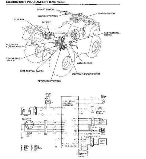 2003 Honda Rancher Carburetor Diagram
