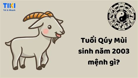 2003 tuổi gì | Nam n tui Qu Mi 2003 mnh