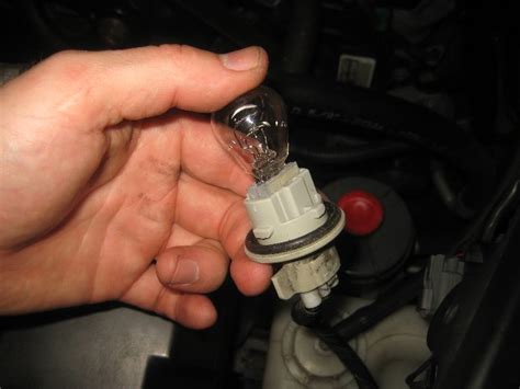 2004 acura el light bulb manual. - College reservoir lake safety book the essential lake safety guide for children.