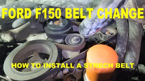 2004 ford f150 belt squeal replacement manual. - Trophies sees behind trees story guide.