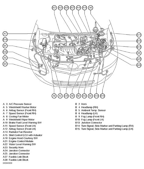 2004 scion xa wiring diagram manual original. - El proyecto anfora/the amphora project (runas).