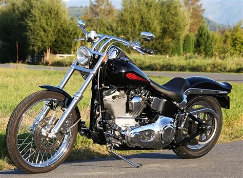 2005 harley davidson softail standard owners manual. - Malpractice liability in the helping and healing professions a survey guide for attorneys and client.