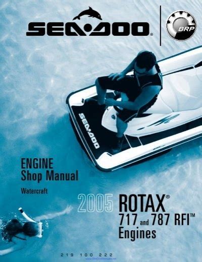 2005 seadoo rotax 717 787 rfi engine shop service manual. - Grundzüge der lehre von dem magnetismus und der elektricität.