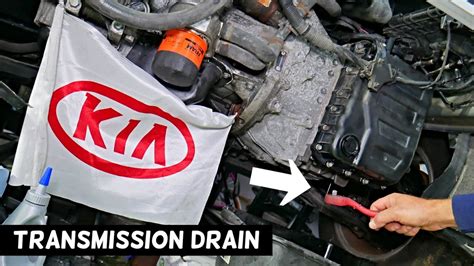 2006 kia sportage manual trans fluid fill. - The savvy clients guide to translation agencies.