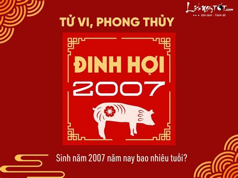 2007 tuổi gì | Nam N tui inh Hi 2007 mnh