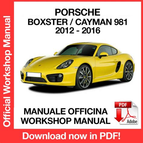2008 porsche cayman s officina manuale. - Tally guide question answer bank downloaded.