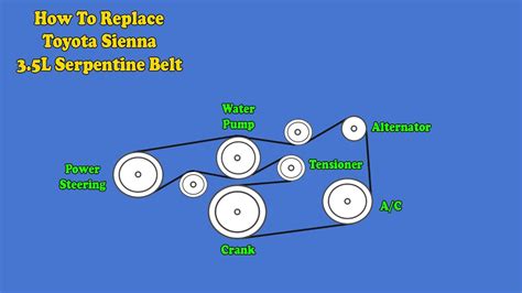 Q&A: Toyota Sienna Serpentine Belt Diagrams (2001-2015) - JustAnswer. Ask an Expert. Car Questions. Toyota Repairs. loosen pivot bolt. loosen adjusting lock bolt. loosen adjusting bolt. If alternator doesnt move as you are loosening the adjusting bolt, it has some corrosion buildup. Loosen the adjusting bolt several turns and then with a block .... 