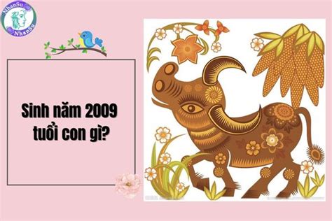 2009 tuổi con gì | Nam n tui K Su 2009 mnh
