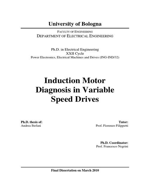 2010 PHD Thesis Induction Motor