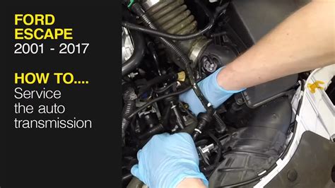 2010 ford escape transmission removal manual. - Ford 6610 parti del trattore manualebiologia 17 guida allo studio risposte.