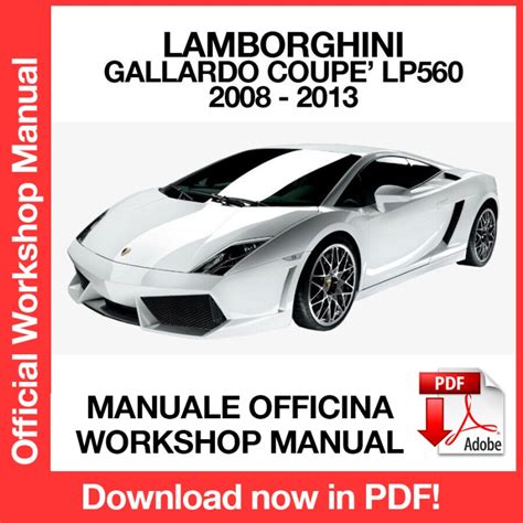2010 lamborghini gallardo lp560 service manual. - Manuale di servizio husqvarna 262 xp.