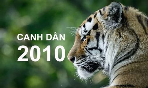 2010 tuổi con j | 2010 mnh g Mu sc v tui