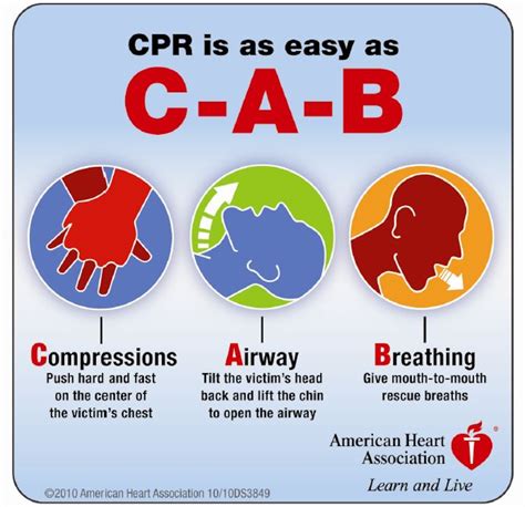 Download 2010 Aha Cpr Guidelines Chart 