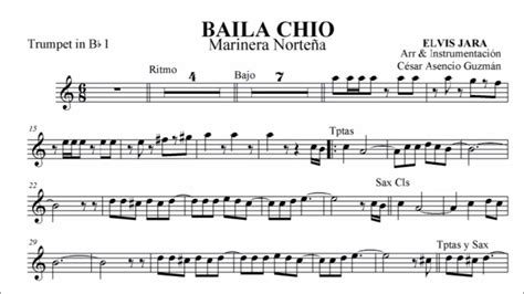 2011 BAILA CHIO pdf