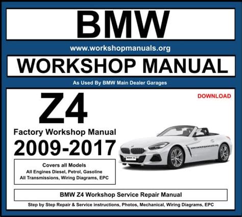 2011 bmw z4 30i repair and service manual. - A guide to san diego sea shells.