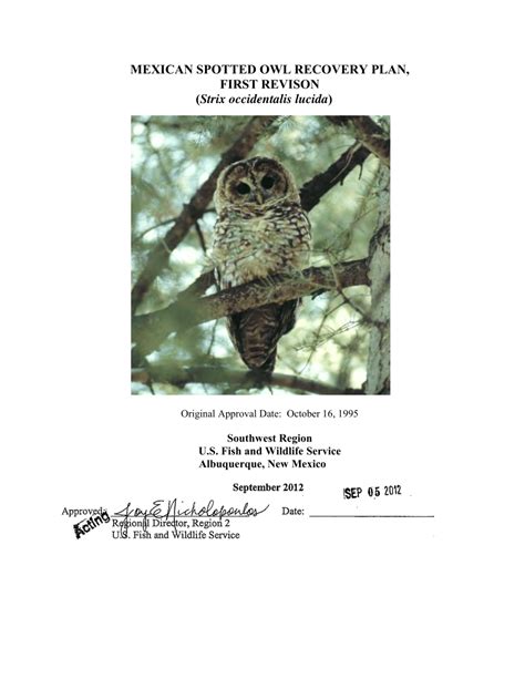 2012 Mexican Spotted Owl Study, Final Report, Pinos Altos