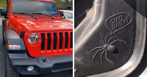 Open the fuel-filler door and a spunky spider greets y