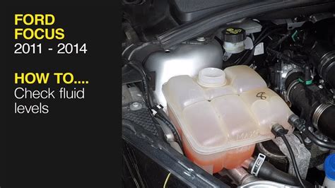 2013 Ford Focus Hatchback clutch fluid capacity - garage.wiki