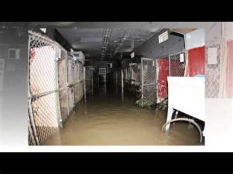 2013 Morrow Shelter Floods - YouTube