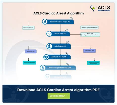 Download 2013 Acls Guidelines Algorithms 