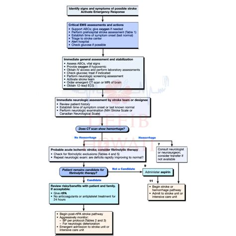 Download 2013 Aha Acls Guidelines 