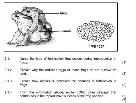 Read 2013 Question Paper Life Science Grade 12 