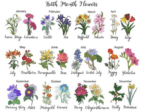 2014 calendar flowers 12 month calendar featuring