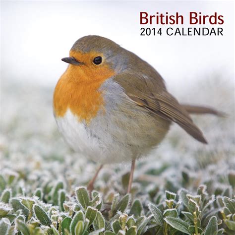 Download 2014 Calendar British Birds 12 Month Calendar Featuring Fabulous Photographs Of Britains Best Loved Birds 