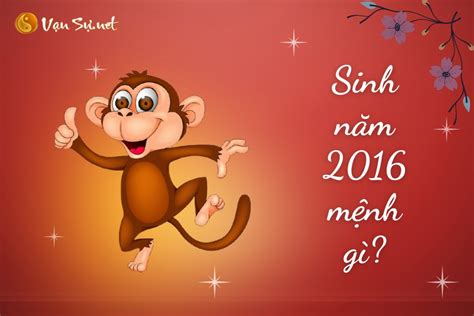 2016 tuổi gì | Sinh nm 2016 l nm con g