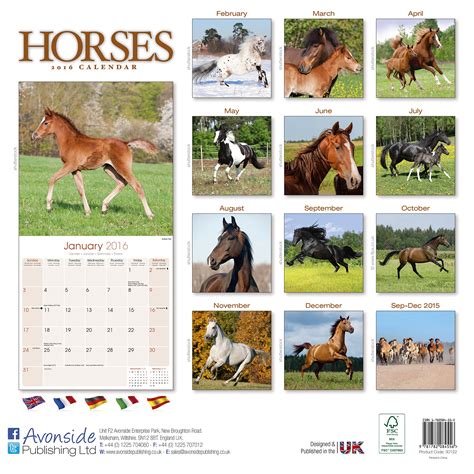 Full Download 2016 Just Horses Wall Calendar 