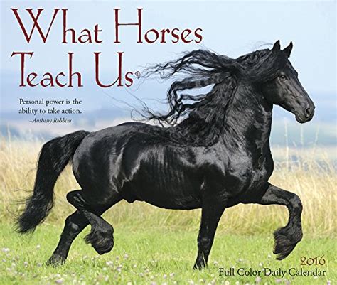 Read 2016 What Horses Teach Us Box Calendar 